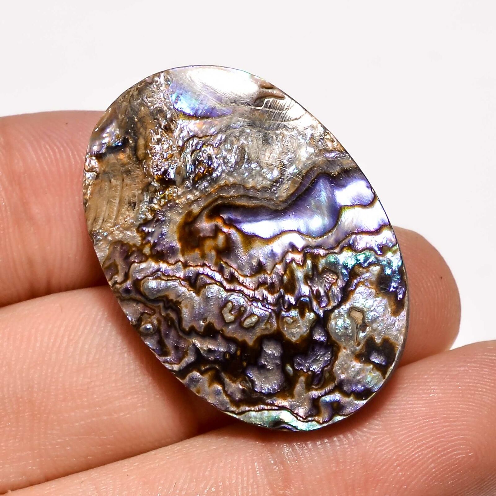 39.6 Ct. 100% Natural Abalone Shell Cabochon Loose Gemstone 32x23x6 Mm Hb-3935