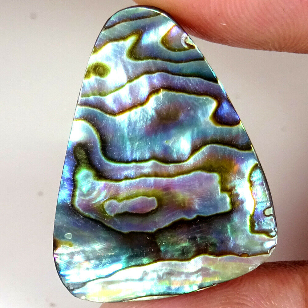40.65 Cts 100% Natural Abalone Shell Fancy Cabochon Gemstones 24x31x6 Mm