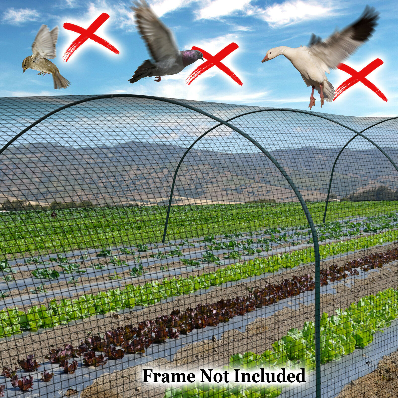 Multi-size Anti Bird Netting Bird Barrier Poultry Aviary Net Pens 2" Mesh Plant