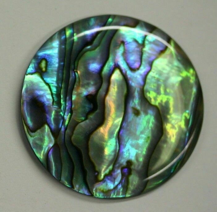 16mm Natural Paua Shell Abalone Calibrated Round Cabochon Gemstones Gems Jewelry