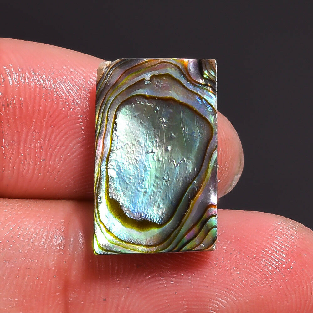 7.45 Ct. Natural Abalone Shell Rectangle Cabochon Gemstone 18x11x5 Mm Aas-2753